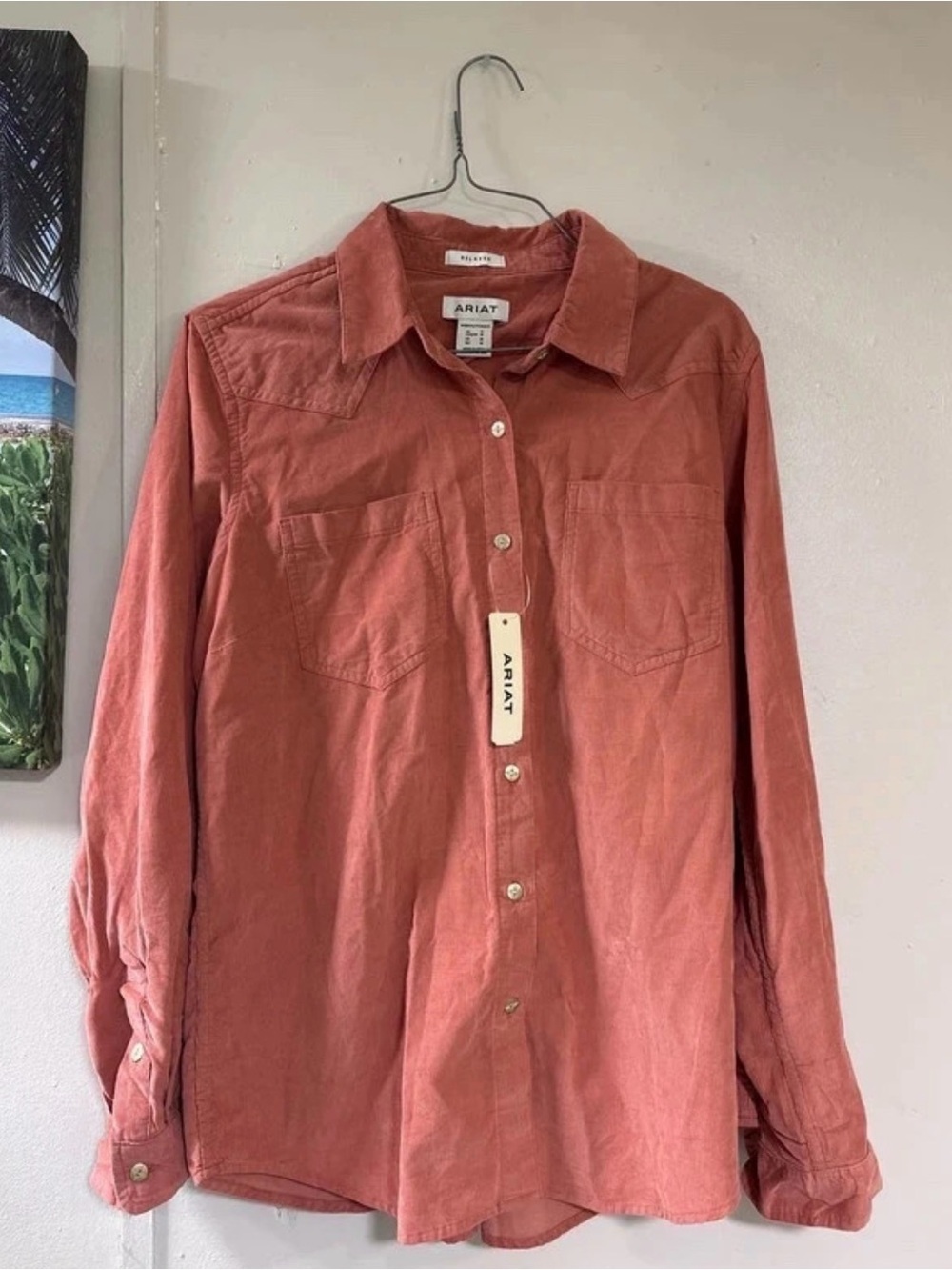 Ariat Women's Button-Down Corduroy Shirt in Rust